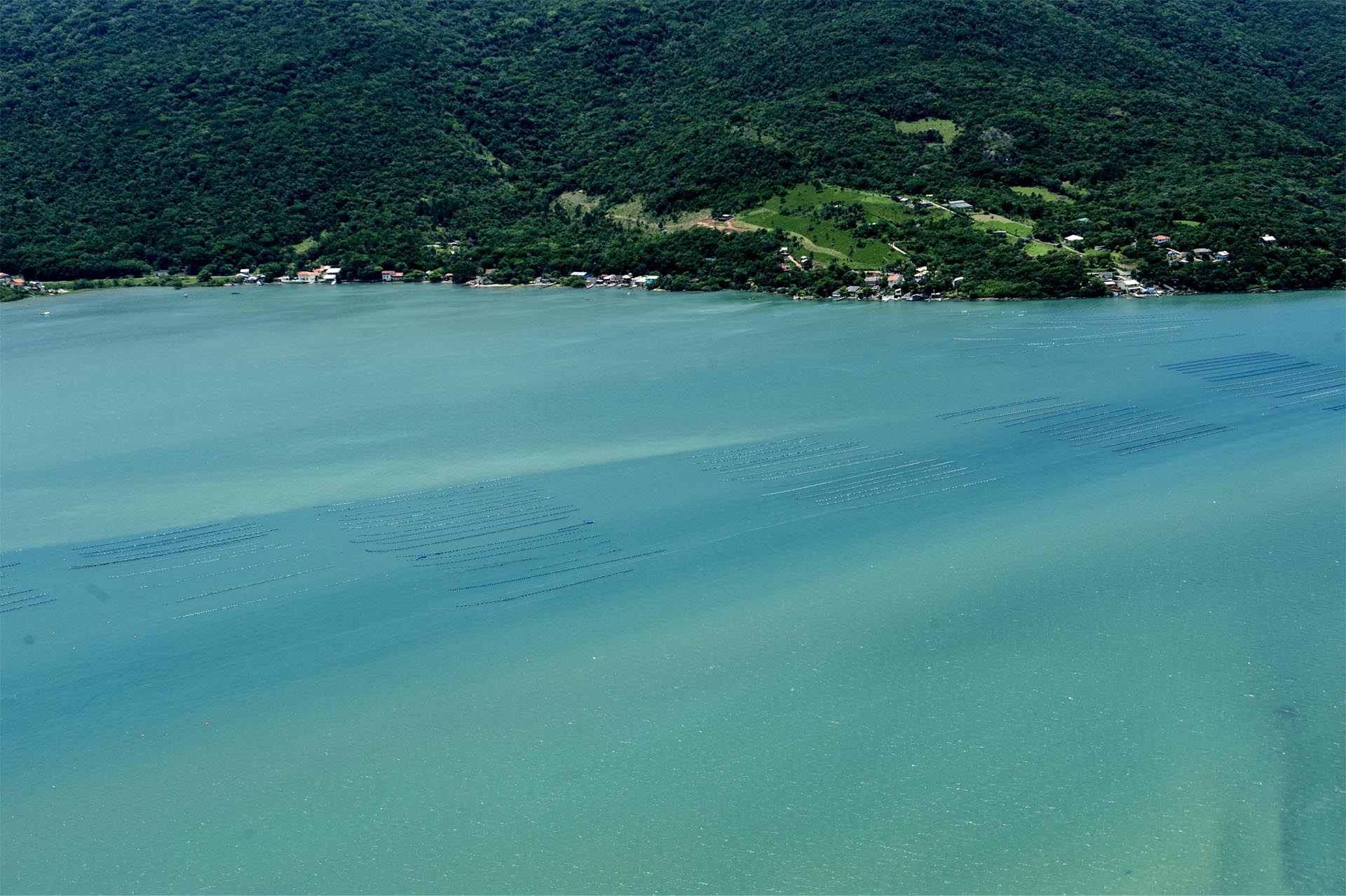Maricultura em Santa Catarina
